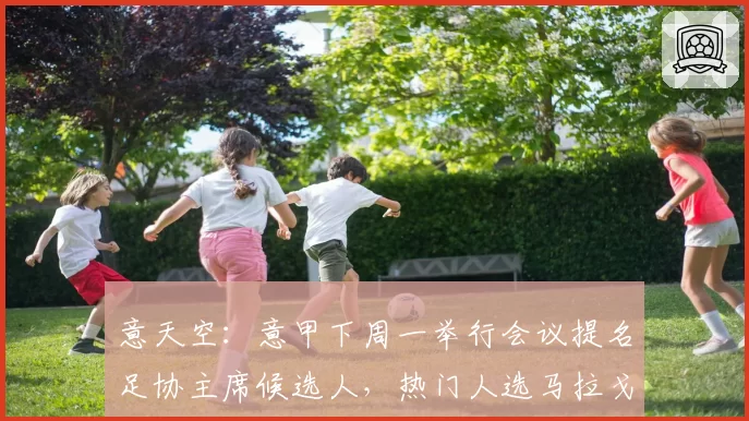 意天空:意甲下周一举行会议提名足协主席候选人,热门人选马拉戈