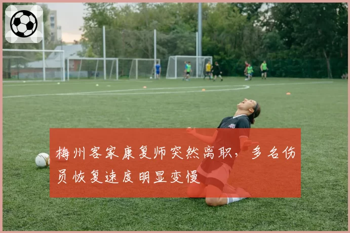 梅州客家康复师突然离职,多名伤员恢复速度明显变慢