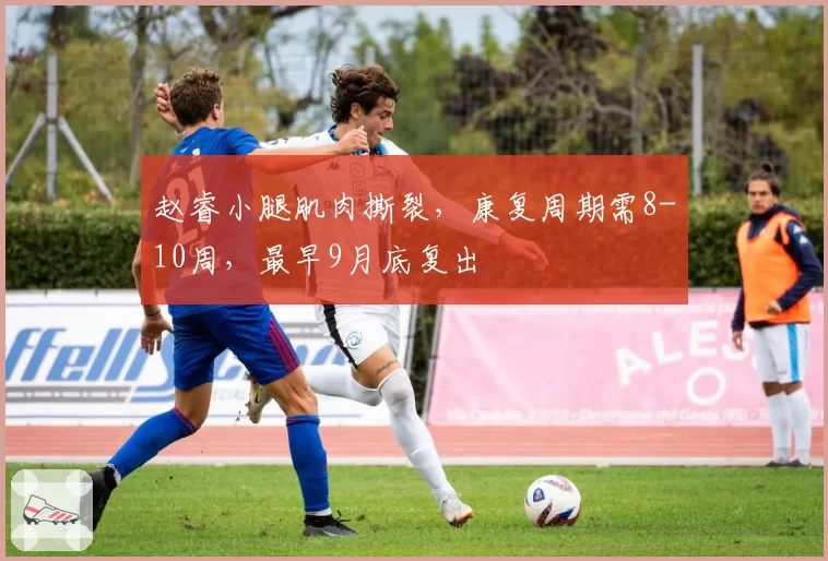 赵睿小腿肌肉撕裂,康复周期需8-10周,最早9月底复出