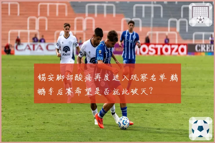 锡安脚部酸痛再度进入观察名单 鹈鹕季后赛希望是否就此破灭？