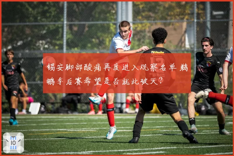 锡安脚部酸痛再度进入观察名单 鹈鹕季后赛希望是否就此破灭？